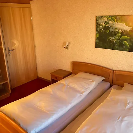 Haus Rhodania Hotel Albinen